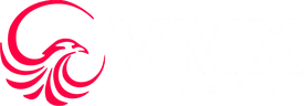 Grupo VMX